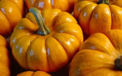 Southern Biscuits 6 Homemade Pumpkin Puree